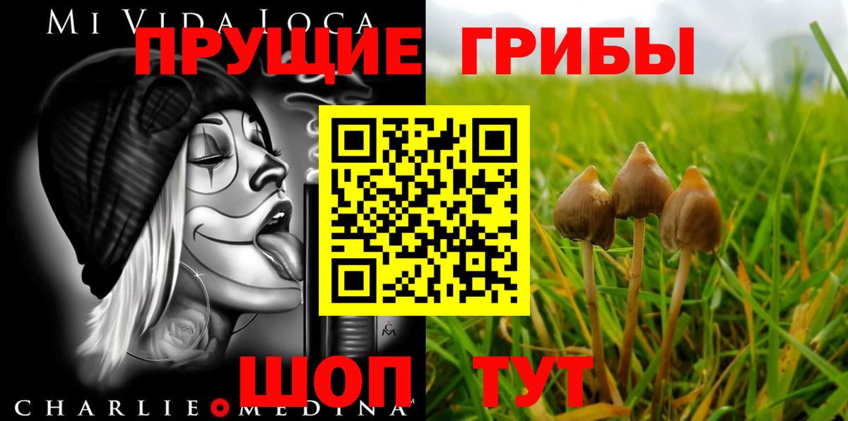 Новодвинск  Галлюциногенные грибы MAGIC MUSHROOMS  Вход с VPN 