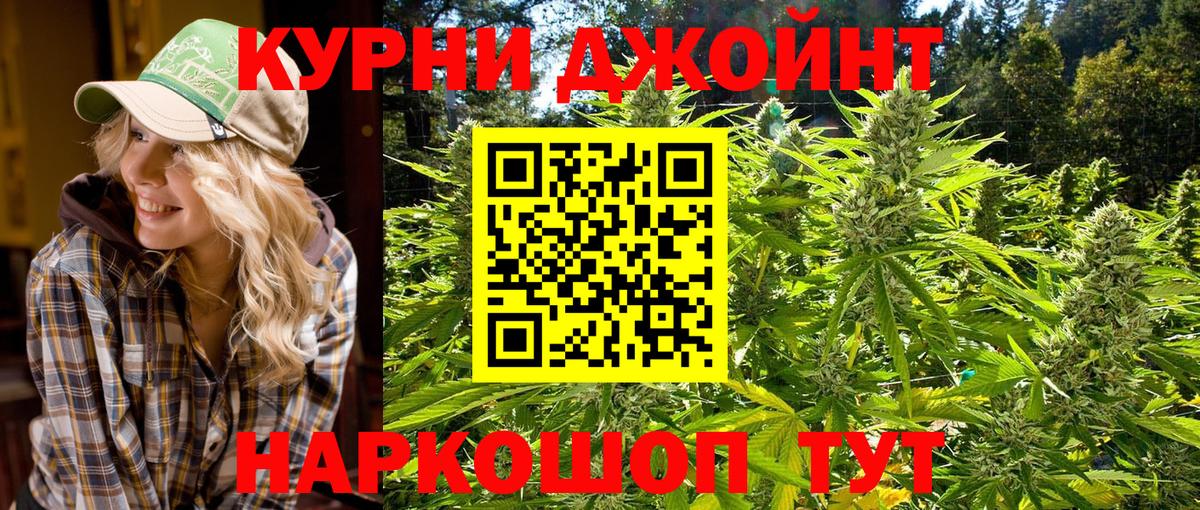 МАРИХУАНА сатива Новодвинск